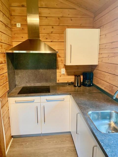 2 Bedroom Fins Chalet Gramsbergen Dış mekan fotoğraf